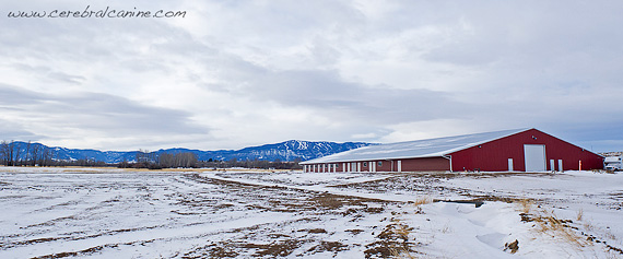 Yellowstone Dog Sports Indoor Arena